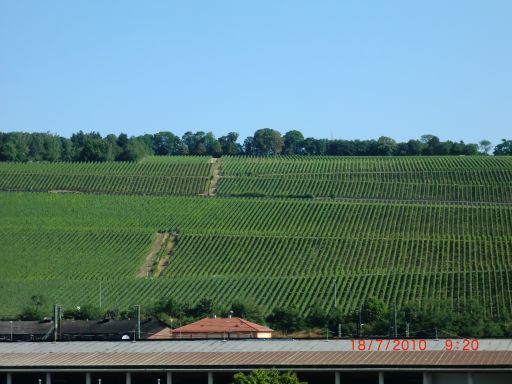 CIMG0923