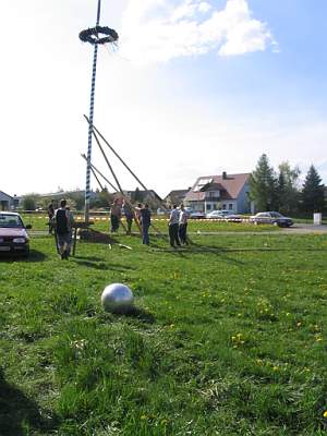 IMG_1471